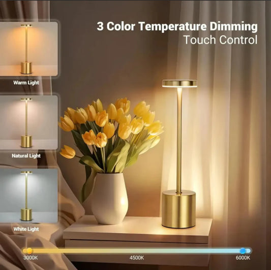 Rechargeable Metal Lamp